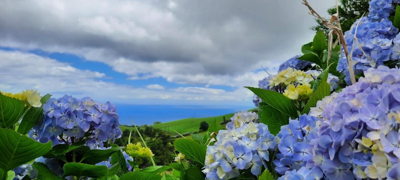Quinta Da Espadana Povoacao  Zewnętrze zdjęcie